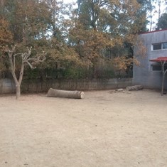 Parque infantil